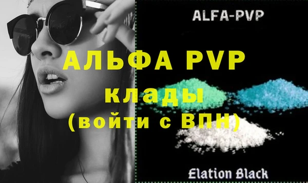 стафф Алзамай