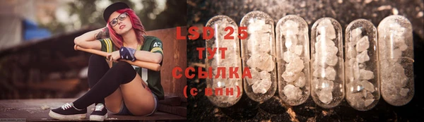 стафф Алзамай