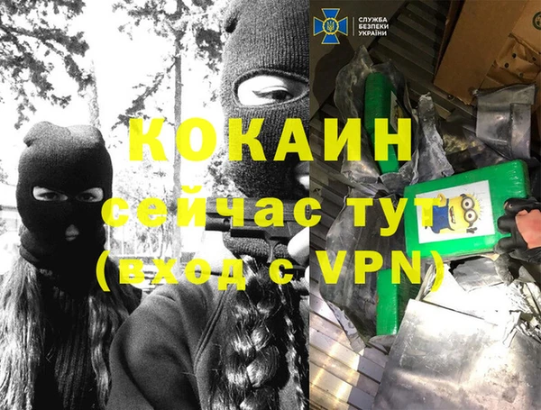стафф Алзамай