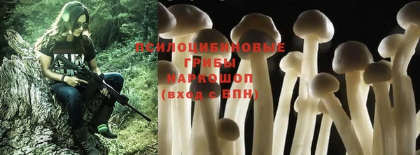 стафф Алзамай